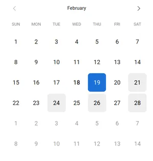 Calendar - month view
